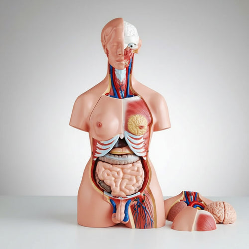 Equipos Medicos Educacionales | Induslab