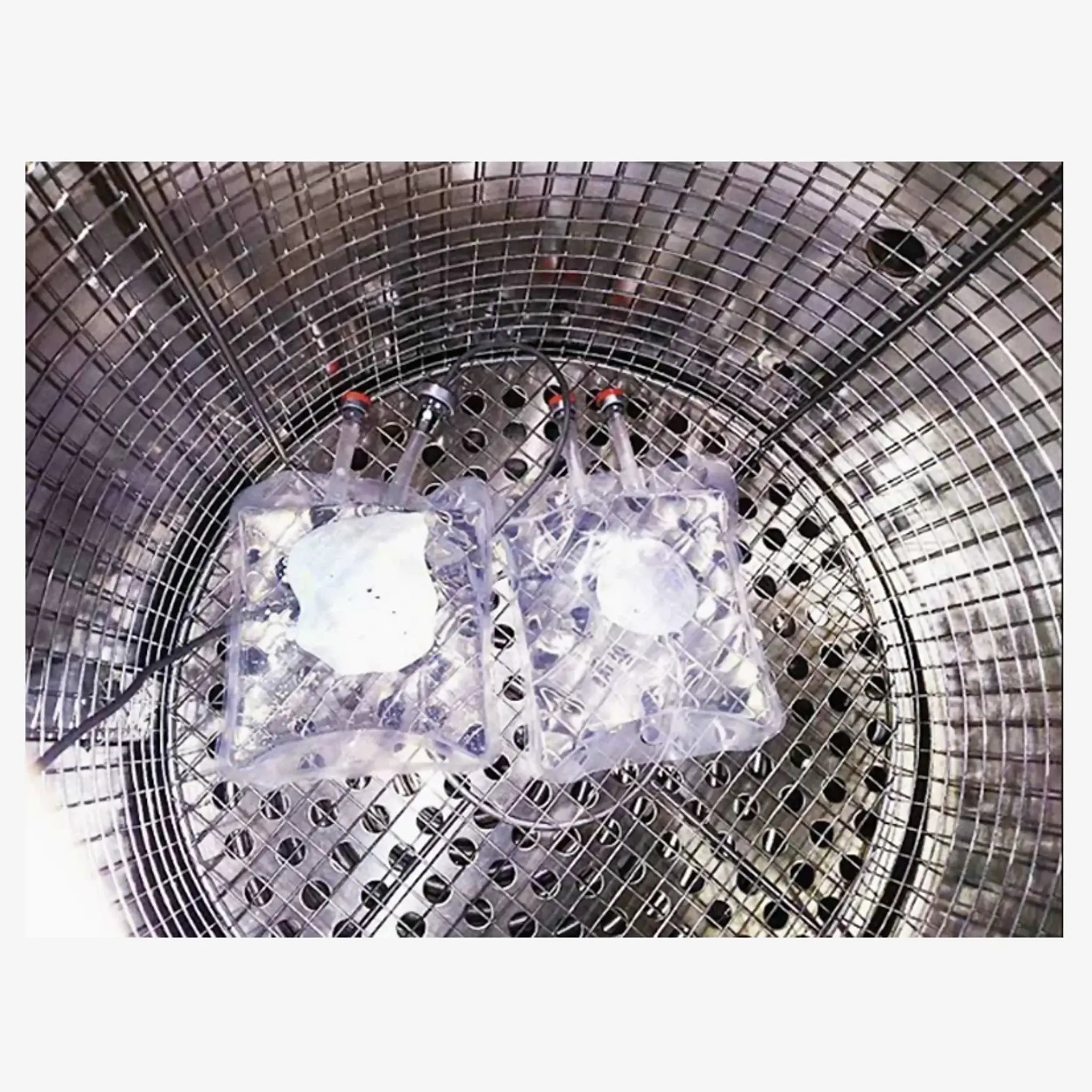 Autoclave vertical automática 50 lts. Mod. BKQ-B50I. Marca Biobase. Equipos Médicos