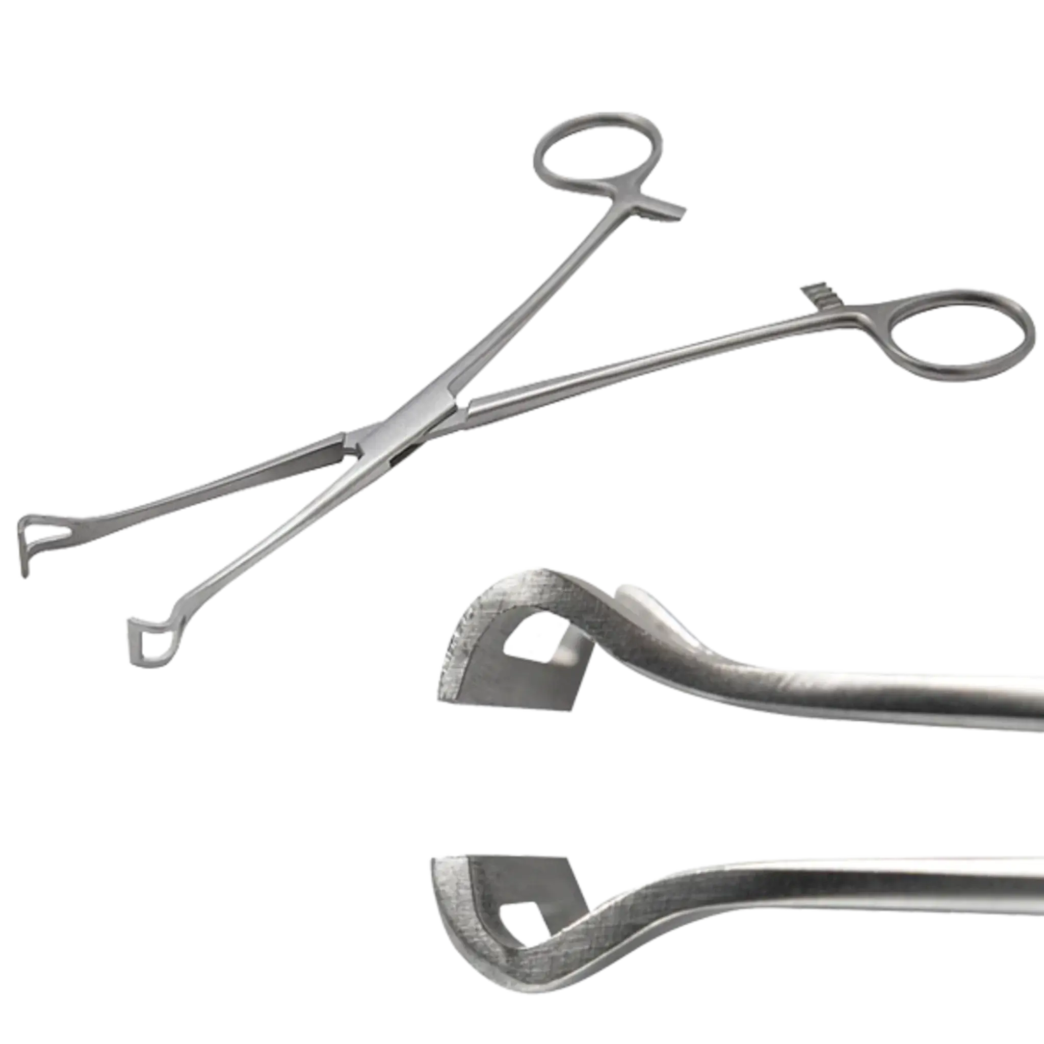 Pinza Intestinal Babcock. Instrumental Quirúrgico