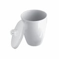 Crisol de Porcelana con Tapa. Insumos de Laboratorio