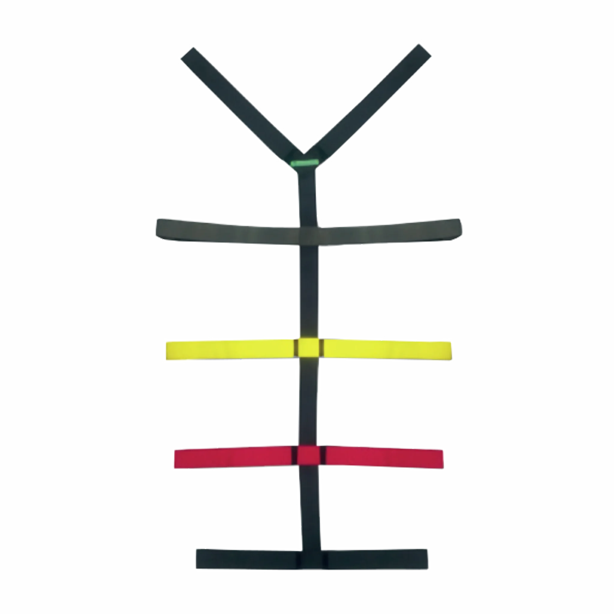 Correa tipo Araña o Pulpo adulto. Rescate y Emergencias